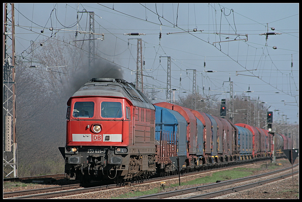 DB 233 625-3 mit gemischtem G�terzug l�sst es kr�ftig ru�en (Teleaufnahme, gesehen Nuthetal-Saarmund 07.04.2010)
<br><br>
Update: In Halle G abgestellt; 12/2012 in Mukran abgestellt