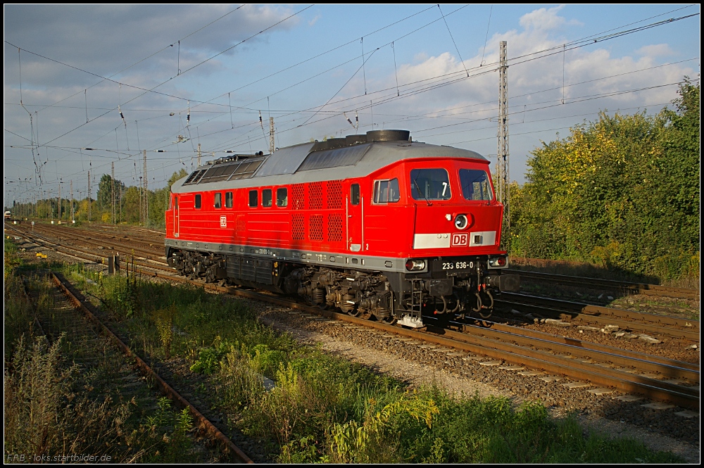 DB Schenker 233 636-0 setzt sich vor einen G�terzug (NVR-Nummer 92 80 1233 636-0 D-DB, ex DR 132 636-2, ex DR/DB 232 636-1, Remotorisierung mit Kolomna Dieselmotor vom Typ 12D49M, gesehen Wustermark-Priort 01.10.2010)