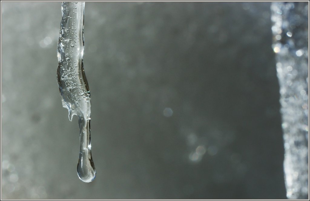 Der gr�sste K�nstler ist nach wie vor die Natur...
(bei Lally, am 31. 01.2011)