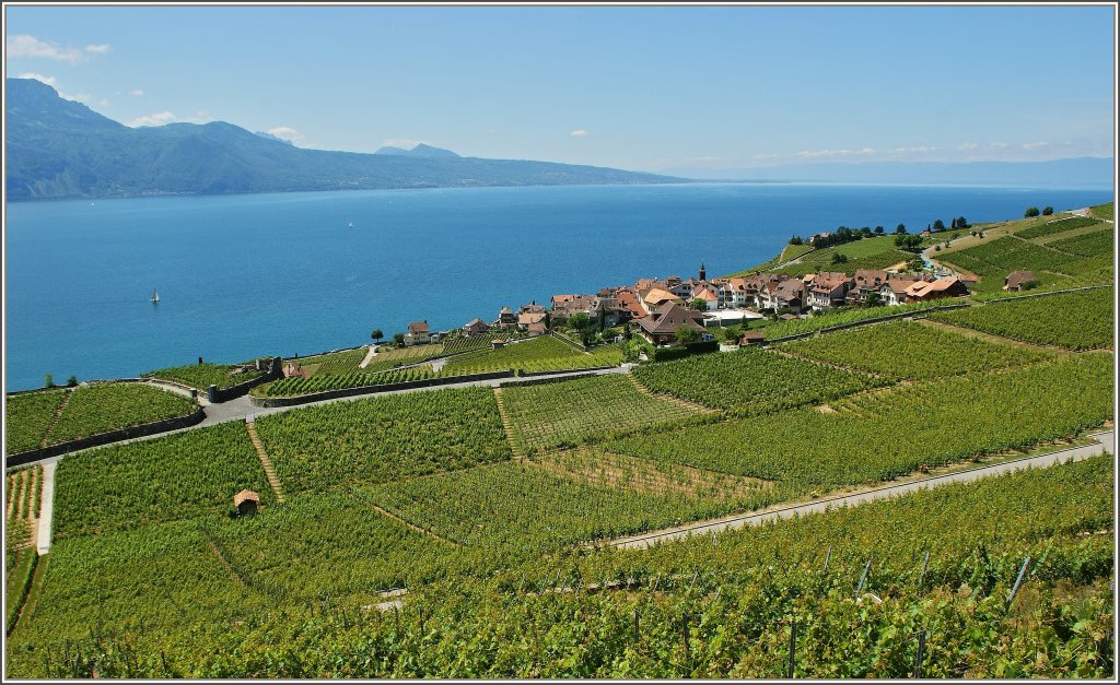 Ein Frhsommertag im Lavaux
(28.05.2011) 