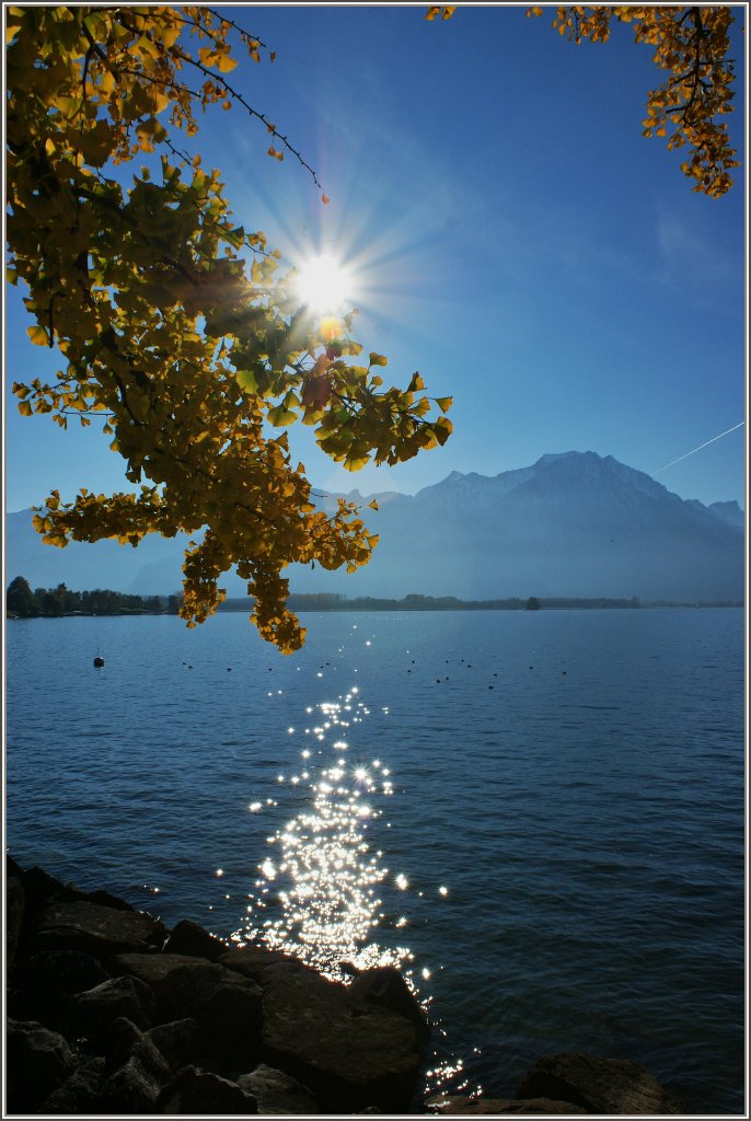 Ein goldener Herbststag am Genfersee.
(30.10.2012) 
