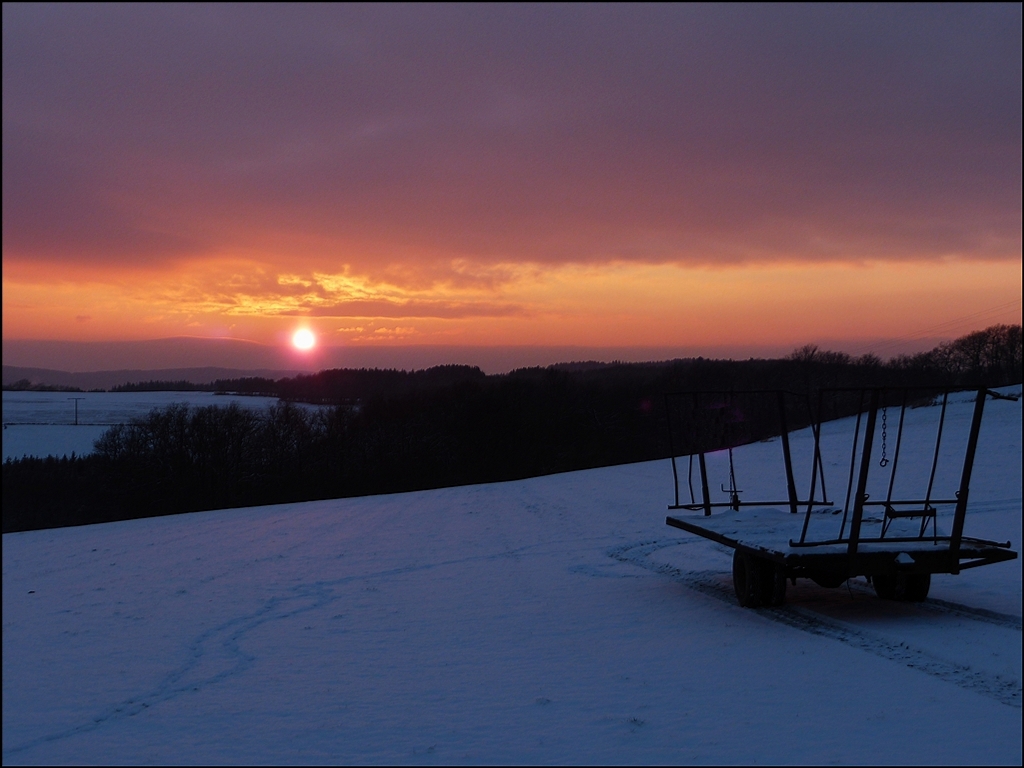 Ein sch�ner Wintertag geht zu Ende. 17.01.2013  (Jeanny)