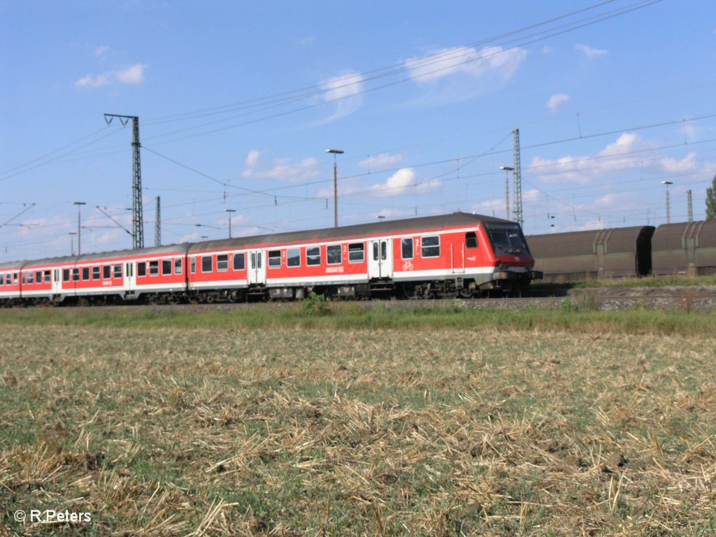 Ein Wittenberger Kopf an der RB.