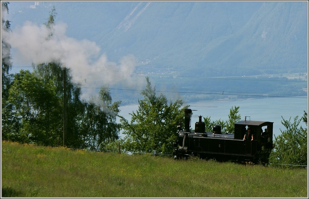 Eine kleine Lokomotive auf grosser Fahrt...
(27.05.2012)