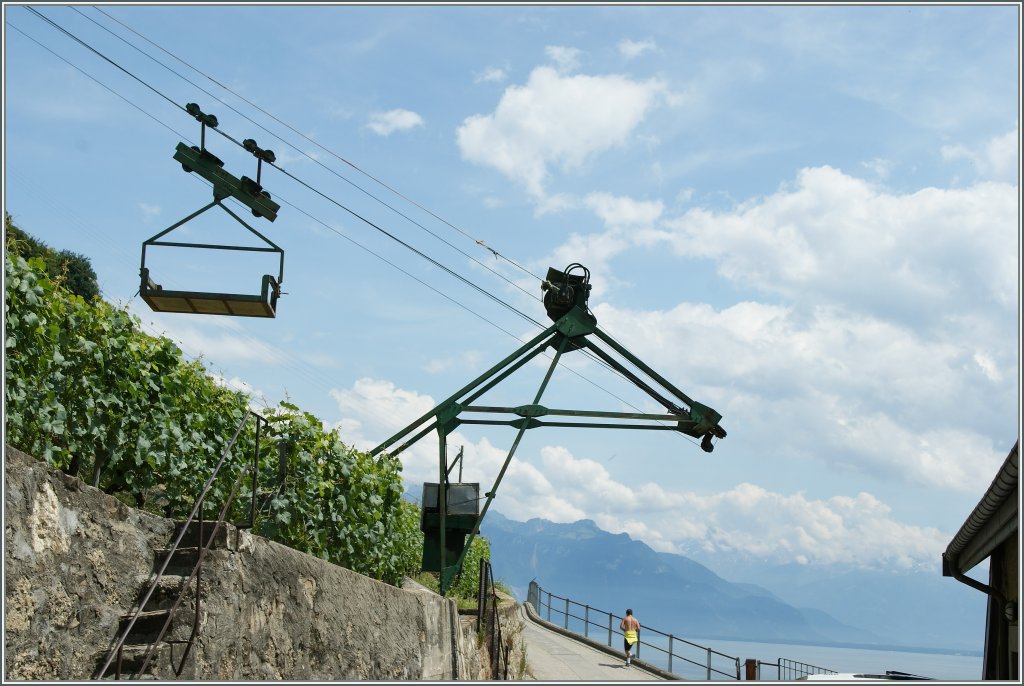 Eine Seilbahn im Dienste eines guten Tropfens...
Im Lavaux, im Juni 2011