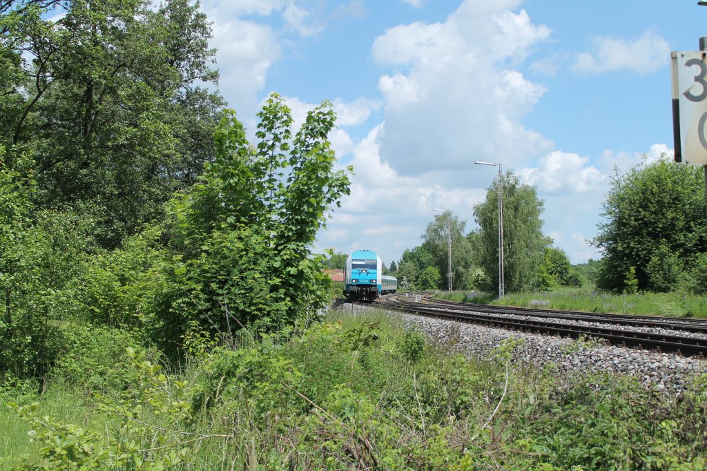 Einfahrt 223 066 mit dem ALX84113 Hof - M�nchen in Wiesau/Oberpfalz. 11.06.13