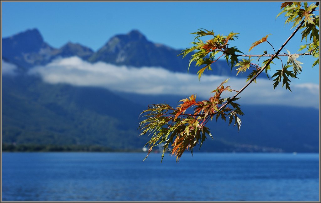 Es wird langsam herbstlich am Genfersee.
(28.09.2012)