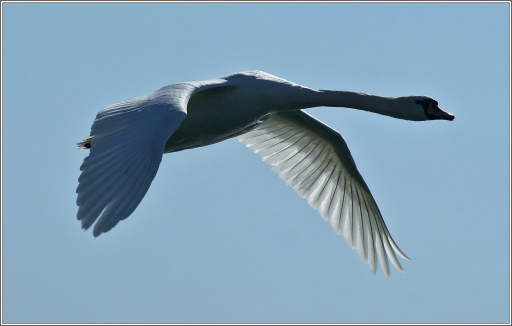 Flug in den Fr�hling.
(28.02.2012)