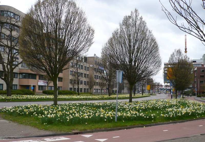 Fr�hling. Schipholweg Leiden 05-04-2010.