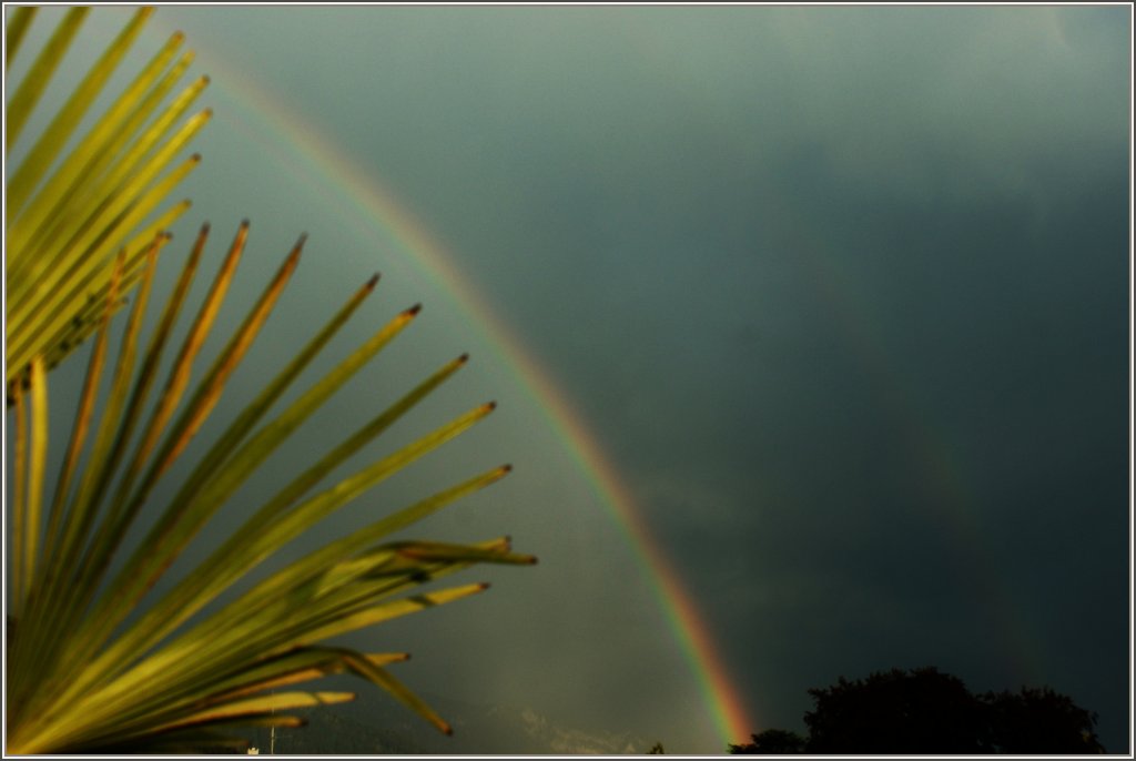 Gewitterstimmung mit Regenbogen gestern Abend in Blonay
(30.05.2011)