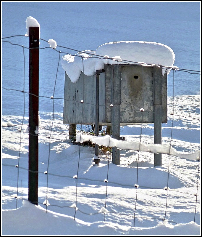 Gut dass die K�he im warmen Stall sind. Erpeldange 18.12.2010 (Jeanny)