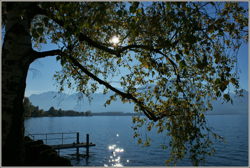 Herbststimmung am Genfersee.
(30.10.2012)