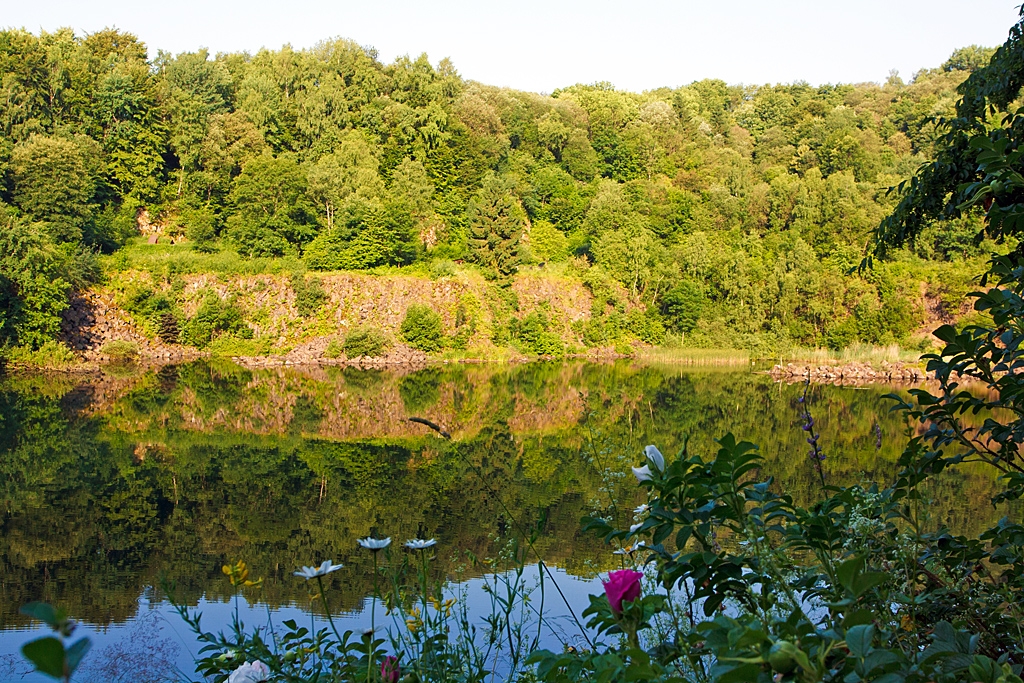 Im Basaltpark Bad Marienberg (Westerwald) am 09.07.2013.

Der Basaltpark ist ein rekultivierter ehemaliger Basaltsteinbruch, in dem tiefst gelegenen Teil des ehemaligen Abbaubereiches hat sich ein See gebildet. An diesem entlang fhrt ein Lehrpfad, an dem Basalt verschiedener Formen, zum Beispiel Sulenbasalt, ausgestellt wird. Zudem wird auf Schautafeln ber deren Entstehung und Verwendung informiert. Auch ist dargestellt, wie Basalt frher im Tagebau abgebaut und weiterverarbeitet wurde. So sind alte Loren und Kleinlokomotiven zu sehen, die in Basaltbrchen im Westerwald verwendet wurden, und es wird ber die Arbeit in den Basaltbrchen informiert.
