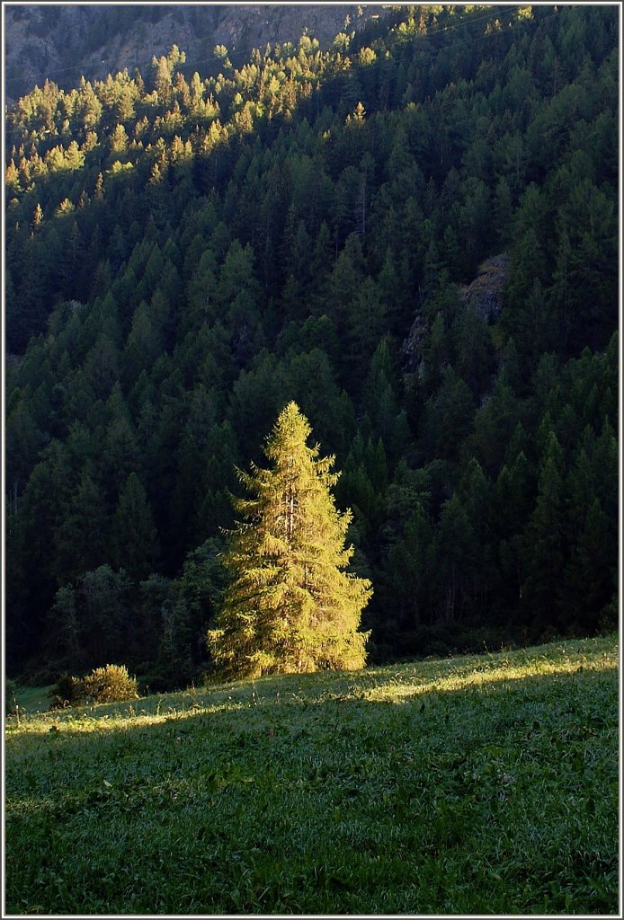 Im Scheinwerferlicht!
(13.09.2011)