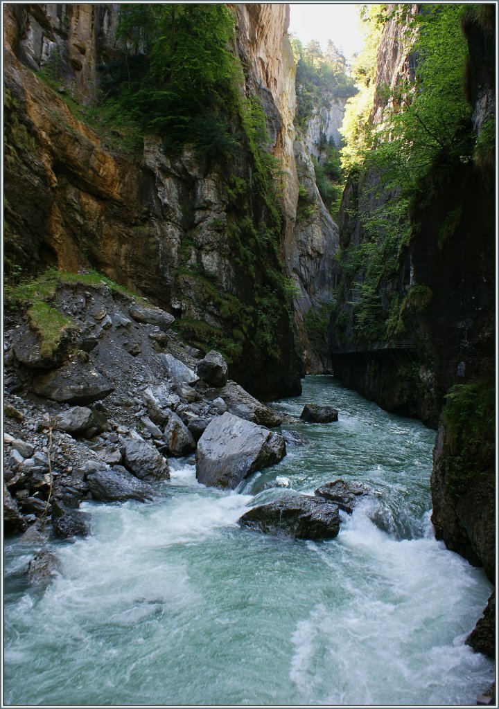 In der Aareschlucht
(07.06.2013)