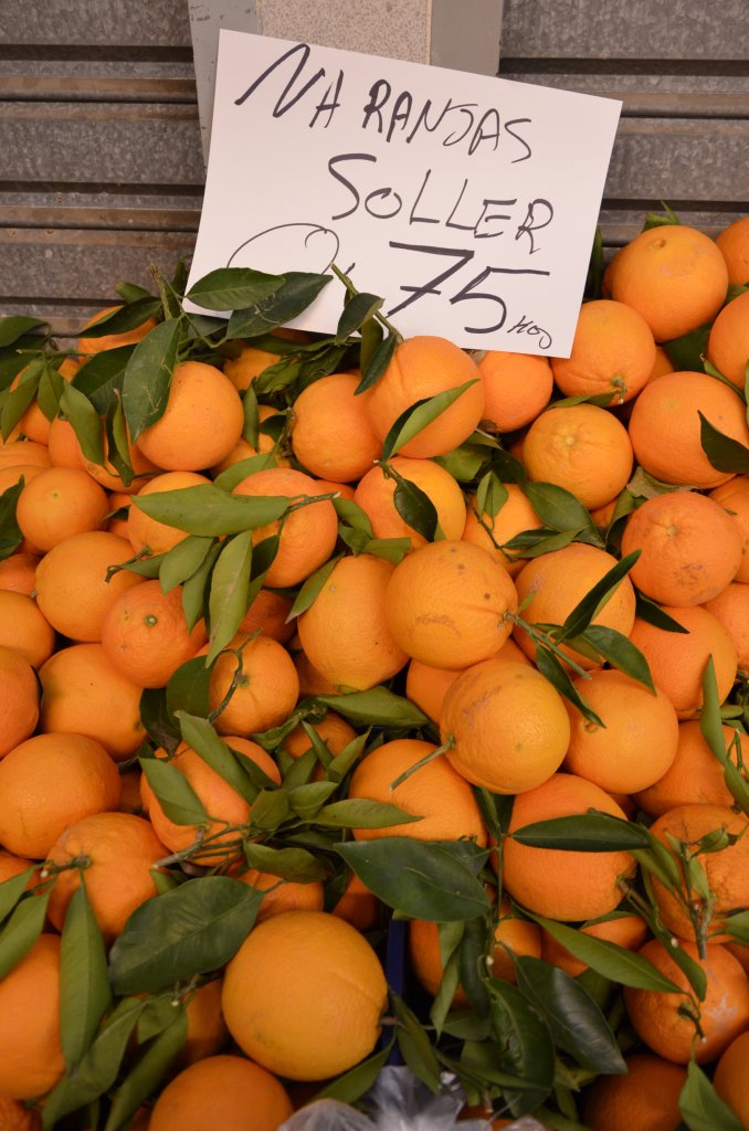 In S�ller endet nicht nur die Bahn aus Palma de Mallorca und die Stra�enbahn aus Port de S�ller, sondern hier und in der Umgebung gedeihen auch pr�chtig Orangen und Zitronen. Zu Ostern eine s�sse und saftige K�stlichkeit, um der momentanen Witterung zu trotzen, verbunden mit vielen Gr��en aus K�ln- (16.03.2013)
Hans-Gerd