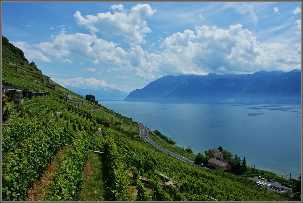 In den Weinbergen des Lavaux.
(15.06.2011)