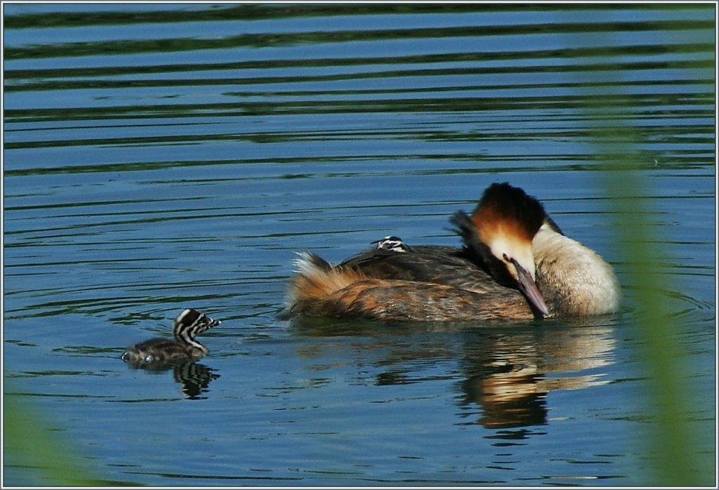 Muttergl�ck
(02.07.2013)
