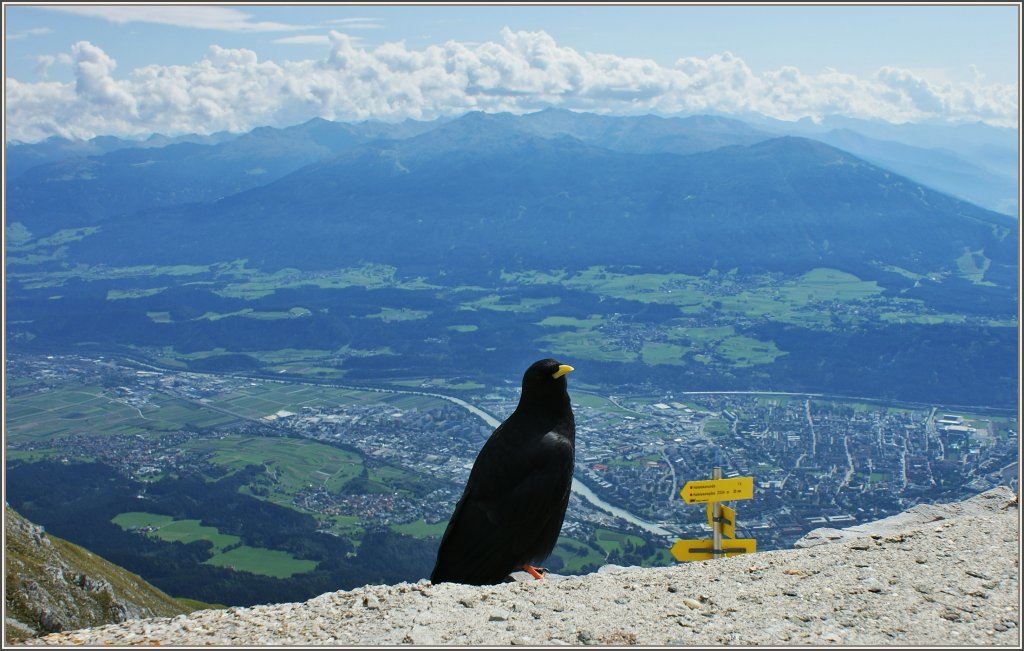 Nachdem er sich damit abgefunden hatte das es bei uns nichts zum Essen gab, blieb er als stiller Beobachter sitzen.
(17.09.2011) 