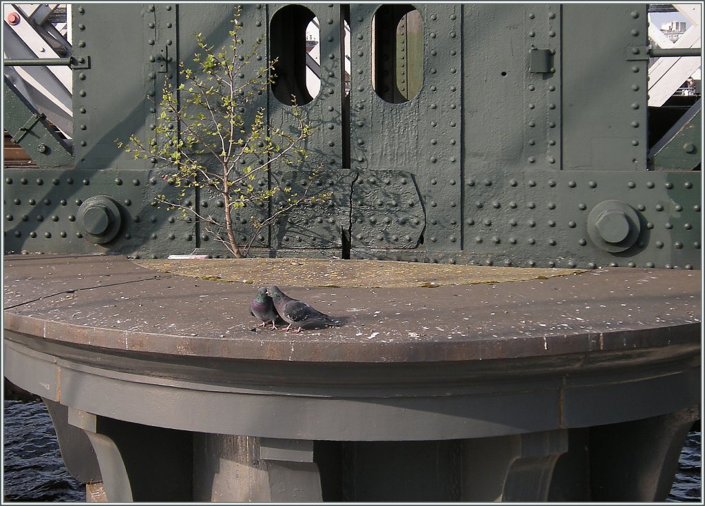 Nachdem nun schon einiges zur  Schwebenden Br�cke �ber die Musel  zu sehen und h�ren war, hier nun Abwechslung bedacht, ein Detail-Bild eines Br�ckenpfeilers welcher die Z�ge �ber die Themse f�hrt.
London, den 18. April 2010