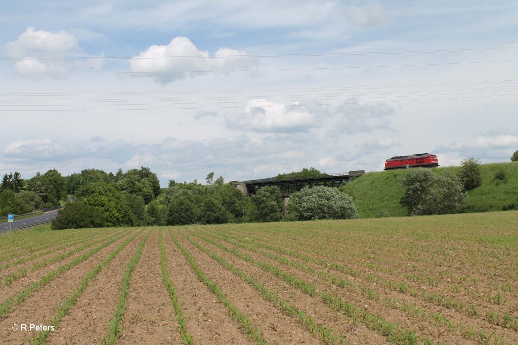 Nachschuss von 232 259-2 kurz vor dem Viadukt bei Seu�en. 15.06.13