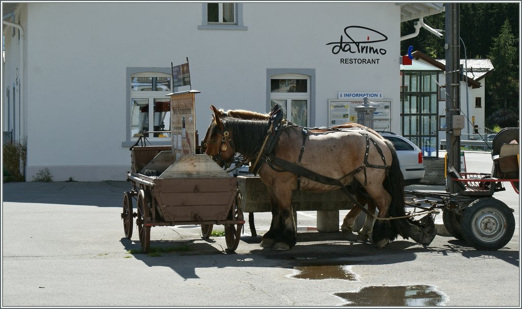  Nahverkehr Val Bever  obwohl das Restaurant  da Primo  heute geschlossen hat, kommen zumindest die Pferde zu ihrer wohlverdienten Erfrischung in Bever, bevor sie noch eine letzte Hin und R�ckfahrt absolvieren m�ssen. 
12.09.2011