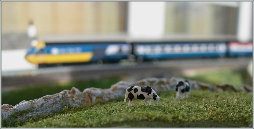 Noch mehr Linsenputzer, doch ganz kleine; und deshalb eignen sie sich wohl besser zur Reinigung der Sensoren...
11. M�rz 2013