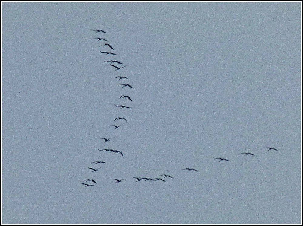 Obwohl es heute wieder bitter kalt in Luxemburg war, lie gegen 14.40 Uhr der Blick in den Himmel Hoffnung aufkommen. 19.02.2010 (Jeanny)