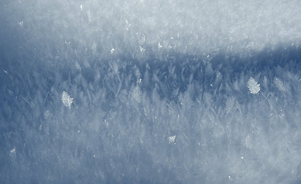 Schneekristalle
(19.01.2010)