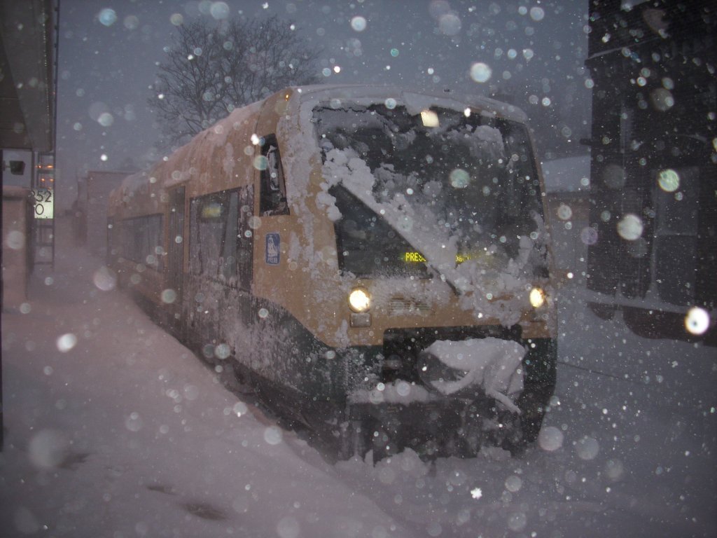 So es am Morgen vom 30.Januar 2010 in Bergen/R�gen aus,