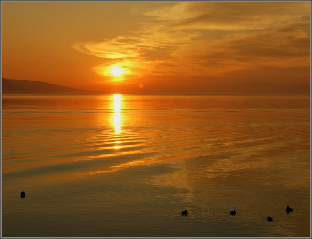 Sonnenuntergang am Genfersee
(27.02.2012)