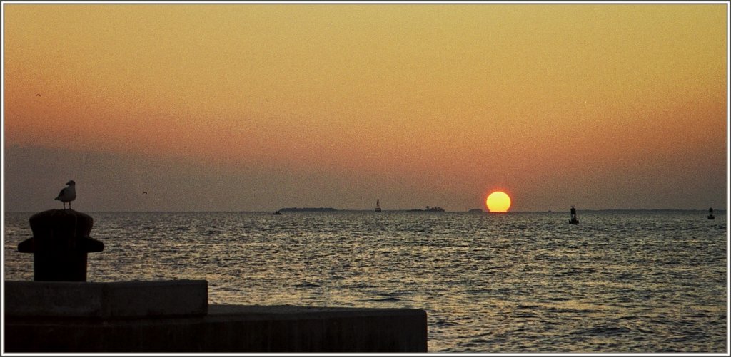 Sonnenuntergang in Key West,Florida.
(November 2000)