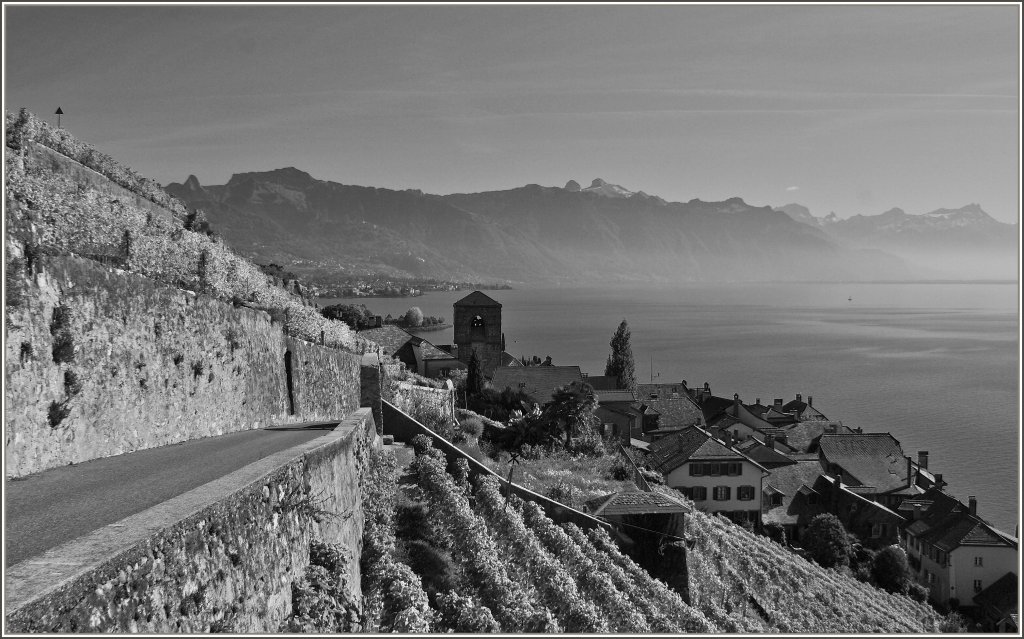 S/W Aufnahme vom Lavaux aus, mit Blick auf St-Saphorin, den Rochers-de-Naye und die Riviera des Genfersee's.
(18.10.2011)