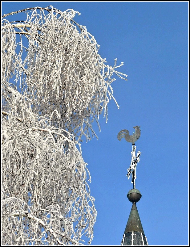 Tiefgefroren. Berl� 31.12.2010 (Hans)