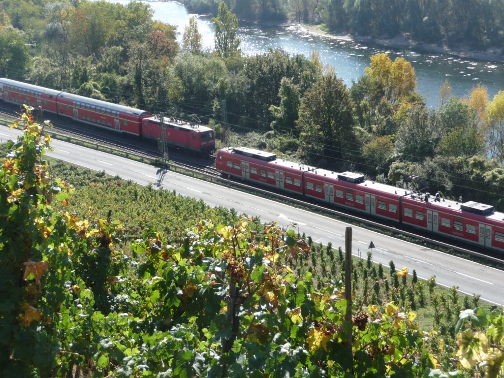 Treffen zweier Regionalz�ge im Rheintal, aus den Weinreben heraus fotografiert.