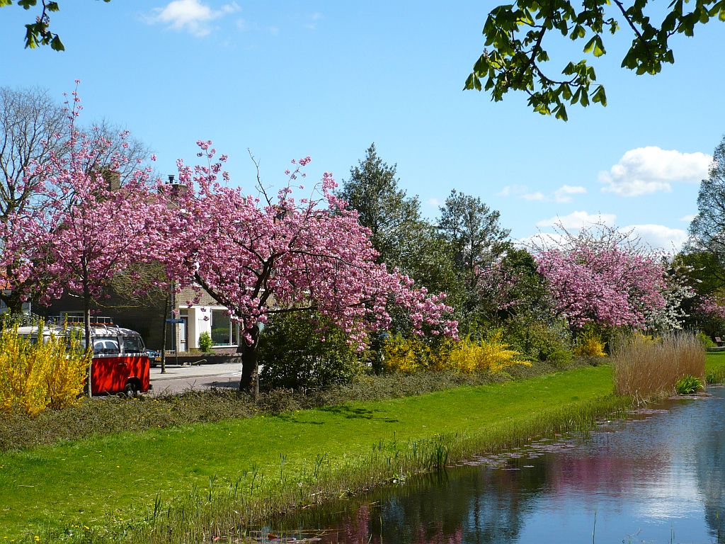 Uhlenbeckkade, Leiden 04-05-2013.