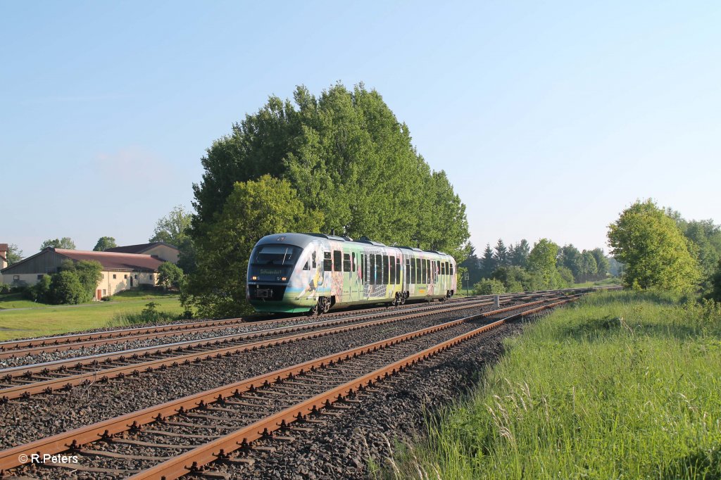 VT04 als VBG81109 Marktredwitz - Schwandorf bei Sch�nfeld. 05.06.13