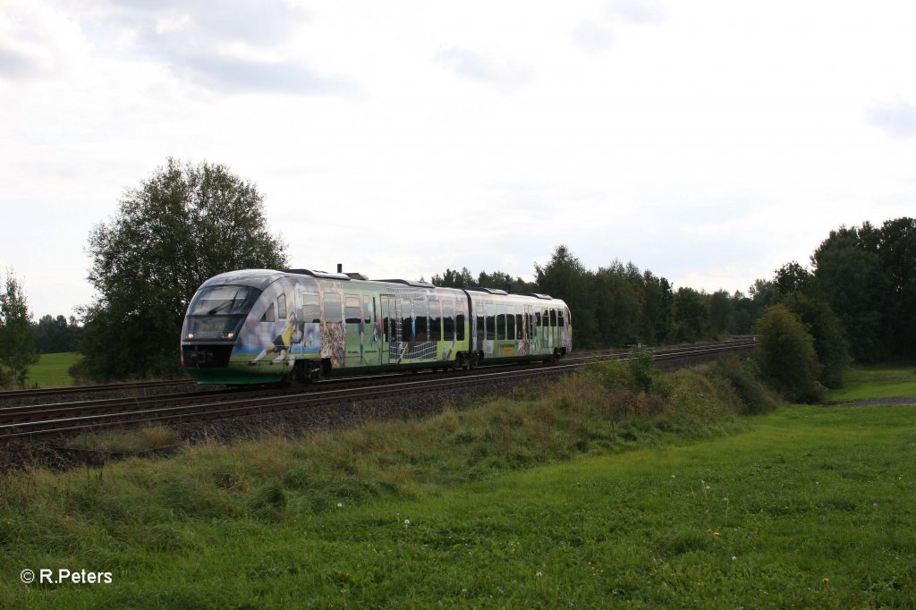 VT04 als VBG81120 Regensburg - Hof bei Sch�nfeld. 23.09.11