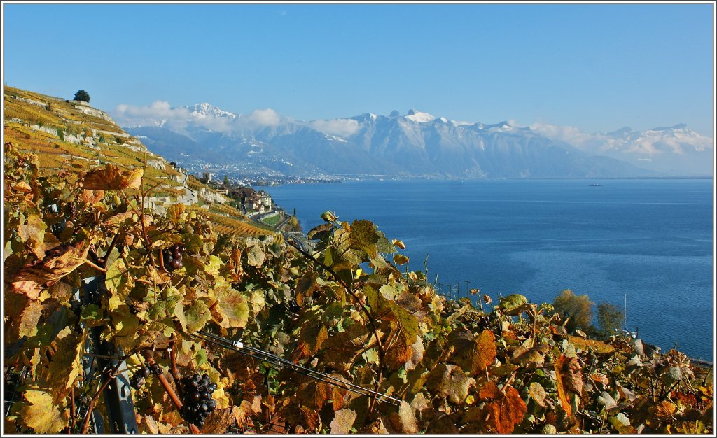 Whrend im Lavaux der Herbst eingezogen ist,zeigt der Winter in den Bergen das er nicht mehr in allzu grosser Ferne ist.
(29.10.2012) 