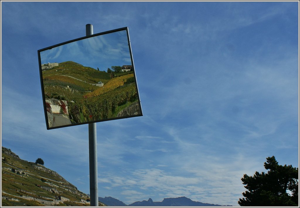 Weinberge im Spiegel.
(20.10.2012)