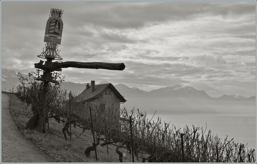 Weinland Lavaux. 
4.1.13
