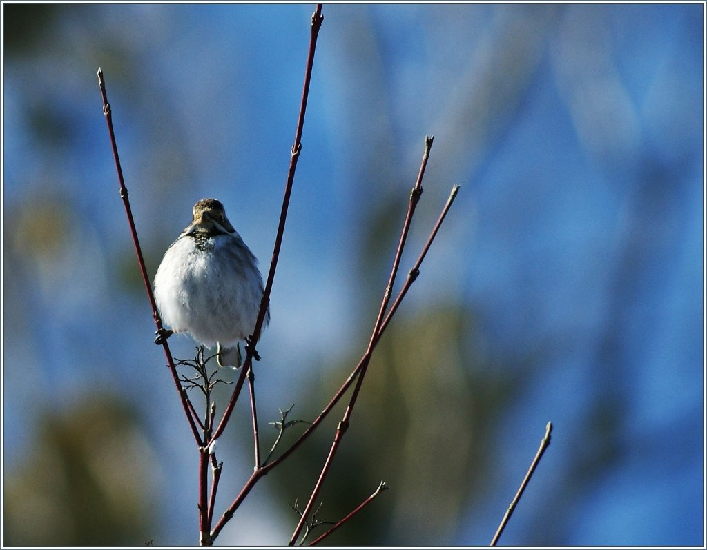 Wie gut das Fastenzeit ist...
(17.02.2013)