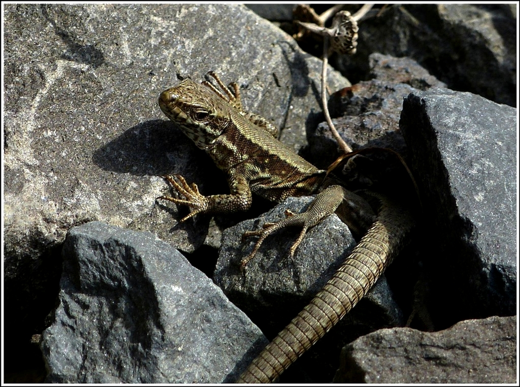 Wie komme ich blo� da raus? 27.03.2012 (Jeanny)