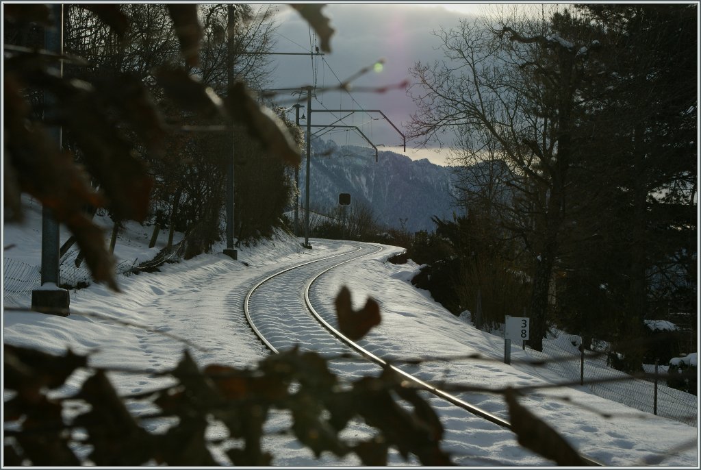Winter bei der CEV.
 13.12.12