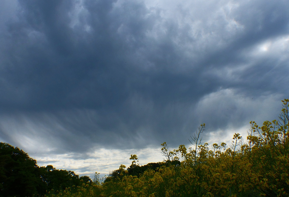 . Dramatischer Himmel in der N�he von Bausendorf. 13.05.2015 (Jeanny)