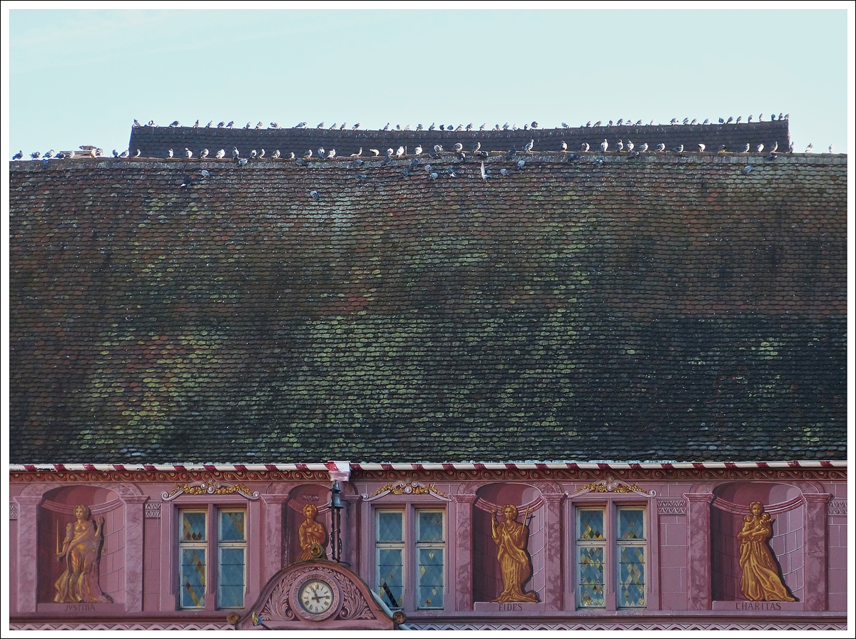 . Gut besetzte D�cher in Mulhouse. 10.12.2013 (Jeanny)