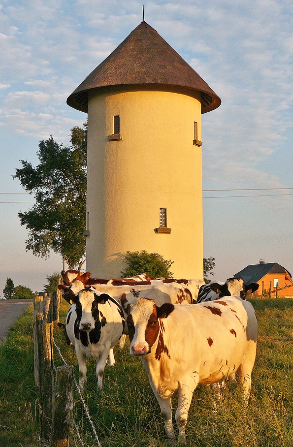 . Im besten Abendlicht des 30.07.2010 wollte ich den sch�nen Wassertrum in Hamiville (deutsch: Heisdorf, l�tzebuergesch: Heesdref) fotografieren, doch die Linsenputzer wollten unbedingt mit auf's Bild. ;-)
(Jeanny)
