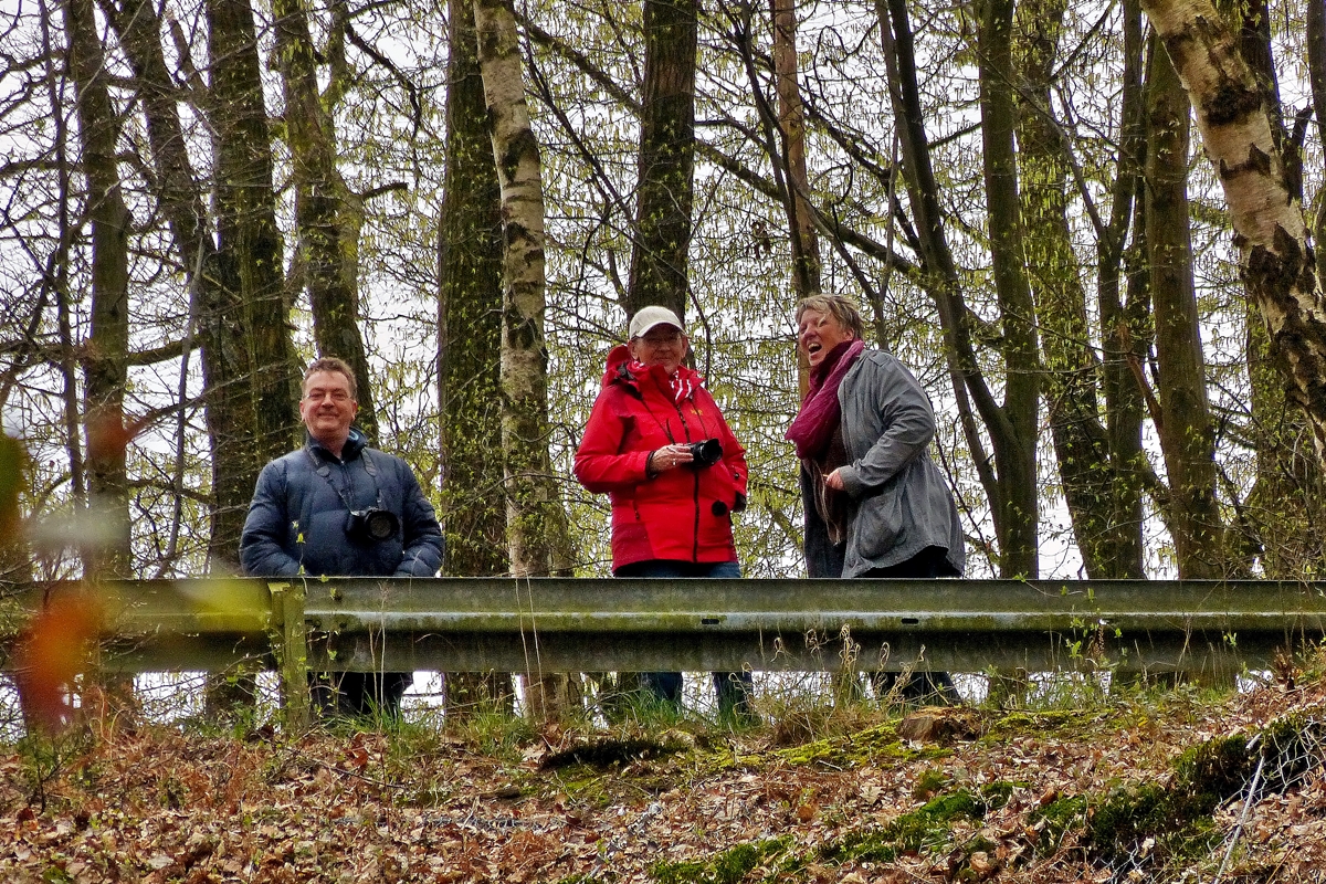 . Lustig war es �ber dem M�hlburg Tunnel in Scheuerfeld/Sieg. 22.03.2014 (Hans)