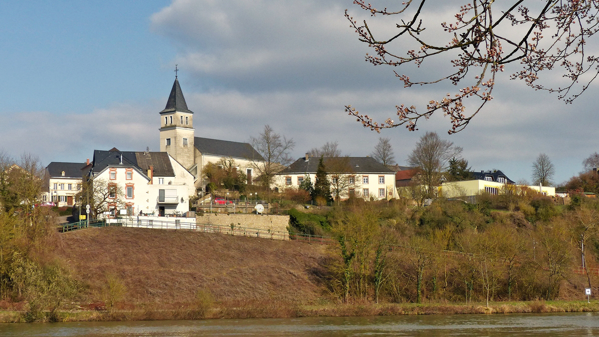 . Vorfr�hling an der Mosel - Blick von Stadtbredimus nach Palzem. 13.03.2016 (Jeanny)