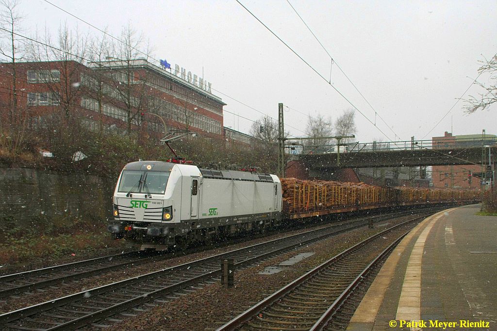 03/02/2015:ELL/SETG 193 831 mit einem Holzzug in Hamburg-Harburg auf dem Weg nach S�den